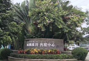 安厦·雨林溪谷