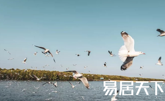 1615016510450622.png image.png