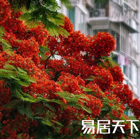 1629166230556107.png image.png