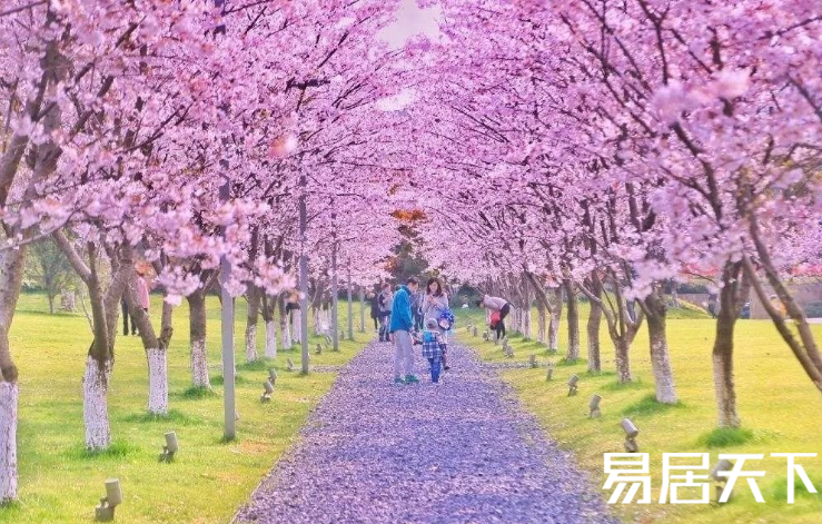 1629170256757518.png image.png