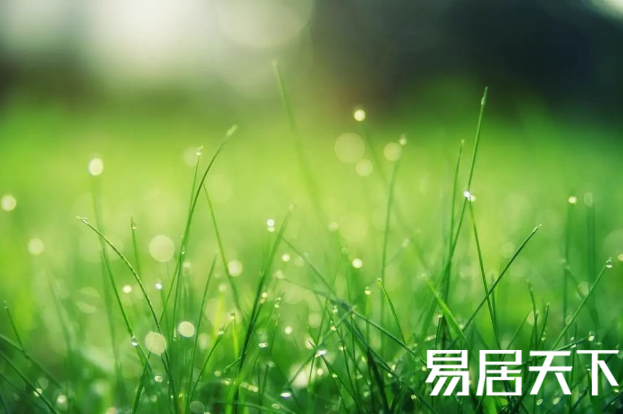 1632736258330658.png image.png